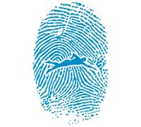 Kruskis Swimmer Fingerprint Eco Short Sleeve T-shirt White L Men