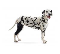 Kruuse Rehab Knee Protector - Left Leg - Medum