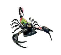 KRXSOBNV, 4D Scorpion Organ Model - Animal Anatomical Model - Scorpion Organ Anatomy Suitable for Medical Teaching Model,Anatomy Models