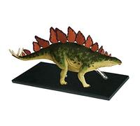 KRXSOBNV, Detachable39 Parts Animal Dinosaur Organ Medical Teaching Model Stegosaurus Anatomical Model, for Medical Educational,Anatomy Models
