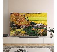 KRXSOBNV, Modern Art Indoor TV Dust Proof Cover Computer Screen Protector For LCD LED Antiskid Television For Desktop Wall-mounted Tvs,32-70In,Color:A) ,TV Cover(B,65in(150x92cm))