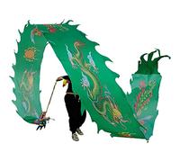 KRXSOBNV, Outdoor Spring Outing Backyard Playing Fiberglass Handsticks + Travel Bag! Outdoor Park,Dragon Dance Ribbons(8m/26ft)