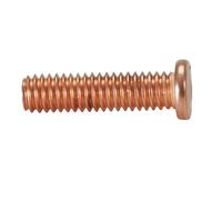KS Tools M4X16mm Screw (10 Pieces)