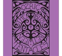 Ozric Tentacles – The Bits Between The Bits – CD – Kscope