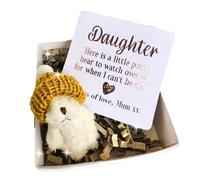 KSIEE Pocket Bear, Pocket Bear Hug, Hug Stuffed Animals Pillow Boxes with Blank Tag for Your Loved Thanksgiving Christmas Birthday Wedding (A)