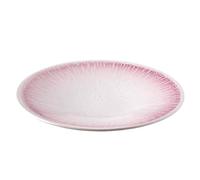 ksjdieunf Dessert Plates Gradient Shallow Plate Dinner Home High-end Tableware Dinner Tableware