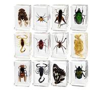 KSJOAIDDE 12 Pcs Animal in Resin Collection for Classroom Biologists Boys and Girls