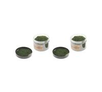 KSJOAIDDE 2 set of Model Artificial Grass Powder Miniature Toy Sandbox Building Landscape D Type D