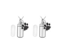 KSJOAIDDE 2 set of Pet Urn Cremation Urn Box Burial Urn Box for Remembrance Dogs and Cats Ashes pendant 2.8x1.1 cm