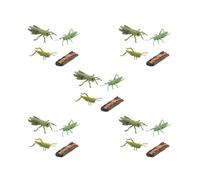 KSJOAIDDE 5 set of Nature Grasshopper/Snail Growth Figures Kids Child Cognitive Toys Type 1