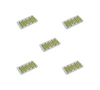 KSJOAIDDE 5 set of Static Grass Model for Sand Layout Model Building Model Kits Train Landscape Early Autumn