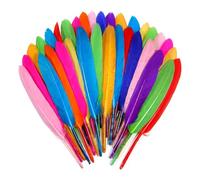 KSVFTB 100 Pcs Feathers for Crafting, Feathers, DIY Decoration Materials, Coloured Feathers, Colorful Craft Feather in Bright Colors, Feather Decoration Crafts for DIY Dream Catcher Hat Vase Mask