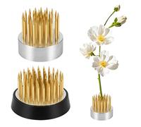 KSVFTB 2 Pieces Flower Frogs for Arrangements, Ikebana Flower Frog Tools for Professional Floral Design, Office Decor and Hotel Displays, Floral Arrangement Accessories