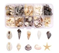 KSVFTB 250 Pcs Sea Shells, Natural Seashells, Mixed Shells Collection, Multipurpose Shells for Crafting, Natural Shell with Starfish & Sea Snail for Bracelet Jewelry, Fish Tank, DIY Crafts