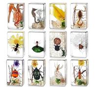 KSVMOAG 12 Pcs Insect Specimen Paperweights,Science Educational Bug Toys,Insect in Resin Specimen Bugs for Fun Party Favors with Real Bugs in Resin Inside