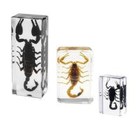 KSVMOAG 3 Pcs Insect In Resin Specimen, Real Scorpion Insect Artificial Amber Resin Specimen Science Classroom Taxidermy for Science