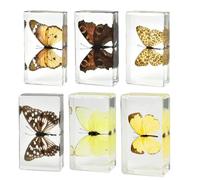 KSVMOAG 6 Large Size Insect in Resin Specimen, Bugs Collection Paperweights Spiders Specimen for Kids Bug Preserved in Resin for Scientific Education (6 Insect specimens)