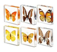KSVMOAG 6 Pcs Real Butterfly Resin Specimen,Insect in Resin Collection,Butterfly Paperweight Assortment Framed Butterfly Taxidermy Display Science for Preschool,Classroom Science and Home Displays