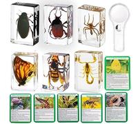 KSVMOAG 6 Pcs Real Insect in Resin Specimens,Bug Collection Paperweights for Office Desk Decor Christmas Display Supplies Durable Preservation with Magnifying Glass and Insect Card