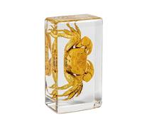 KSVMOAG Real Resin Specimen, Real crab Artificial Amber,Perfect for Preschool,Crab Collection Paperweights for Classroom Science Taxidermy, and Home Displays
