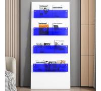 ksxnkhk 4PCS Transparent Magazine Holder Book Shelf Wall, Decorative Brochure Rack for Study, Hanging Mail Organizer Literature Display 40 60 80 100 120 CM (Color : Blue, Size L80cm/31.5in