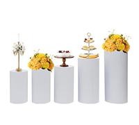 ksxnkhk Cylinder Metal Pedestal Stand,White Stand Risers Set,5pcs Durable Round Stand,Display Stands Cake Stand,Birthday Decor Table for Party Wedding (5PCs)