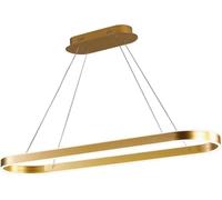 ksxnkhk Modern LED Pendant Lights Creative Dining Talbe 3000K Chandelier Aluminum Silica Gel Shade Hanging Lamp Oval Design Chandelier For Living Room Dining Room