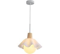 ksxnkhk Modern Metal Glass Pendant Lights Creative E27 Pendant Lamp Fixture Flowers Solid Wood Decorative Hanging Light Adjustable Height Hanging Lamp Lighting Fixtures Belonging to The Di