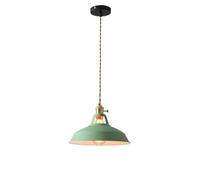 ksxnkhk Personality Iron Art Color Chandelier,E27 Base Single-Head Hanging Light,Indoor Adjustable Height,American Industrial Pendant Light for Kitchen Island Dining Room Bedroom Hallway L
