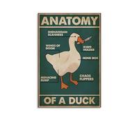 KSYWVCSO Knowledge Metal Tin Sign Anatomy Of A Duck Retro Posters Canvas Aesthetic Wall Art Modern Home Decor for Bedroom Living Room 16x24inch(40x60cm) Unframe-style