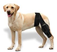 KTCINA Dog Knee Brace, Adjustable Dog ACL Brace for Front Torn and Back Hind Rear Legs Dogs Leg Support Braces for Small Medium Large Breed Knee Dislocation Arthritis Cruciate Ligament Injury(XS)