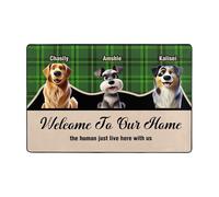 Ktfhvgy Customized Cartoon Special Effects Photo Floor mats, Portraits of Cats and Dogs with Names, Non-Slip Floor mats, Gifts for Dog Mothers (style-06)