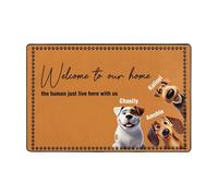 Ktfhvgy Customized Cartoon Special Effects Photo Floor mats, Portraits of Cats and Dogs with Names, Non-Slip Floor mats, Gifts for Dog Mothers (style-10)