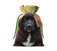 KTHSNSKL Christmas Gift Bags Drawstring Santa Bag Buffalo Christmas Burlap Bags with Gift Tags Goody Present Pouch Cute Pet Newfoundland Dog Wrapping Sacks for Xmas Presents Party Favor Wrap Sack