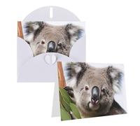 KTHSNSKL Thinking of You Card with Envelopes Koala Bear Greeting Card 4x6 Notecards Happy Birthday Cards Wedding Blank Thank You Cards Baby Shower All Occasion GreetingCards