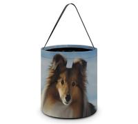 KTNML Candy Basket Cute Shetland Dog Printed Halloween Candy Buckets Reusable Basket For Use in Festivals Parties And Daily Life, Cute Shetland Dog, 7.9*8.3in