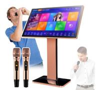 KTV Singing Karaoke Player With 2 Microphones - 500GB-8TB Storage Options, Millions Of Online Songs, 1080p HD, HDMI + USB Ports, 19.5" Touchscreen | Karaoke Machine For KTV & Home Use(B,1TB)