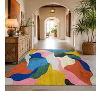 KTYUTJDH Runner Rug for Hallway, Rectangular 80 x 160 cm, Modern Pink Blue Green Yellow Orange White Black, Washable Rugs Floor Mat for Entryway Bedrooms Bedside Carpet Living Room