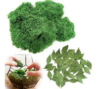 KUAJTUN Artificial Moss & Fern Leaves Kit for Terrariums and Crafts