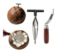 KUAOOAUK 2Pcs Coconut Opener, Stainless Steel Coconut Opener Tool, Non-Slip Wooden Handle Coconuts Scraper for Easy Use, Sharp Coconuts Punch for Fresh Green Young Fruit