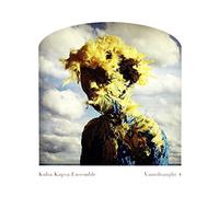 Kuba Kapsa Ensemble - Vantdraught 4