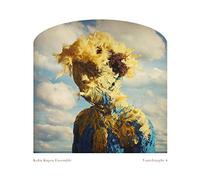 Kuba Kapsa Ensemble - Vantdraught 4 [VINYL]