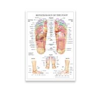 KUBAPIG Foot Reflexology Acupoint Diagram Anatomy Art Canvas Painting Printed Poster Home Wall Decoration Medical Education Wall Pictures (11 x14(28 x 35 cm), Unframed)