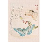 Kubo Shunman Moths And Butterflies Art Print Canvas Premium Wall Decor Poster