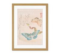 Kubo Shunman Moths And Butterflies Large Light Oak Framed Art Print Wall Poster 18x24 inch