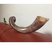 Kudu Yemenite HORN SHOFAR Kosher full Polished approx 49" judaica israel