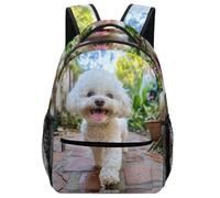 KUEhhhr Trendy Saint Bernard Dog Kids Backpack Animal - Cute/Cool Patterns & Practical Pockets