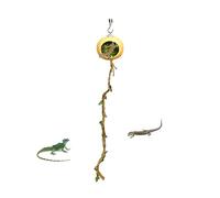 Kuehssn Jumping Spider Hide, Jumping Spider Hide Shelter, Habitat Shelter Decor for Crested Geckos Centipedes Small Reptiles