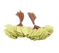 Kueohse 200Pcs Plant Hanging Tag Waterproof Plastic Labels Reusable Garden Markers Blank Nursery Seed Name Tags with Strings