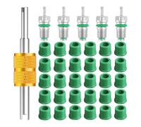 Kueohse 36Pcs R134a 1/4Inch Charge Hose Gasket Kit Air Conditioner Valve Core Accessories Includes 30 Valve Hose Gaskets